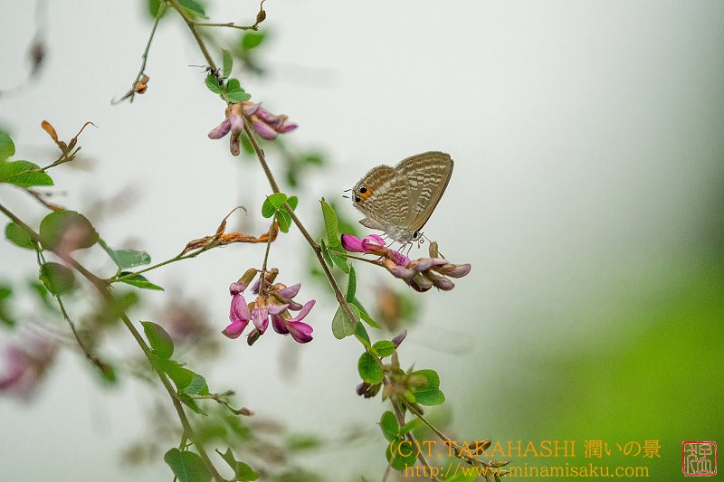 ../Images/7R240831 (116).jpg